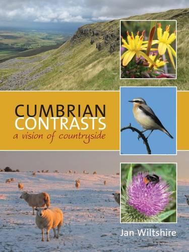 Cumbrian Contrasts: A Vision of Countryside