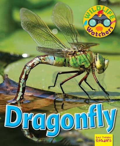 Wildlife Watchers: Dragonfly 2017 (Ruby Tuesday Readers)