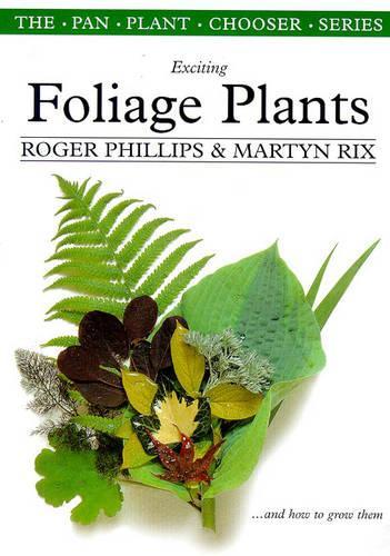 Exciting Foliage Plants and How To Grow Them