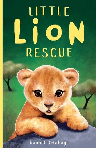 Little Lion Rescue: 1 (Little Animal Rescue (1))
