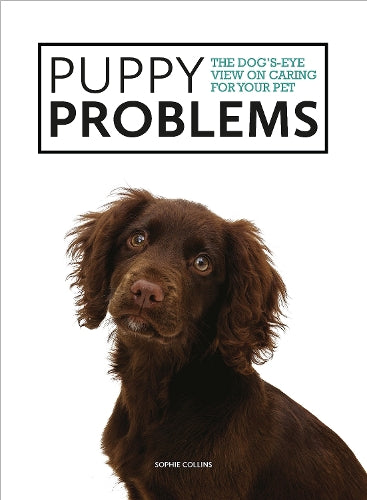 The Dogs-Eye View on Tackling Puppy Problems (Dogs-Eye View)
