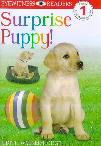Surprise Puppy (Eyewitness Readers)