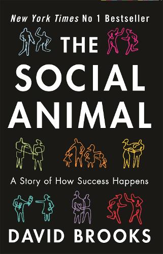 The Social Animal: A Story of How Success Happens