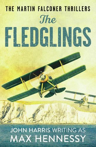 The Fledglings: 1 (The Martin Falconer Thrillers)