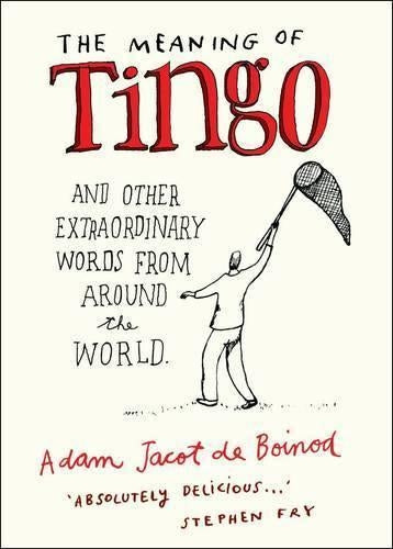 THE MEANING OF TINGO