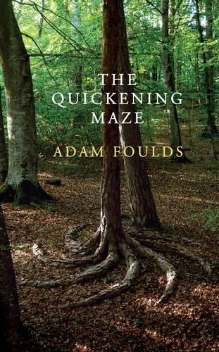 TheQuickening Maze by Foulds, Adam ( Author ) ON May-07-2009, Hardback