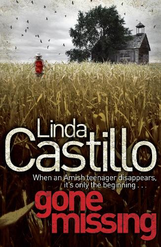 Gone Missing (Kate Burkholder series)