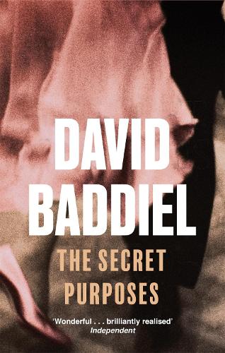 TheSecret Purposes by Baddiel, David ( Author ) ON Apr-07-2005, Paperback