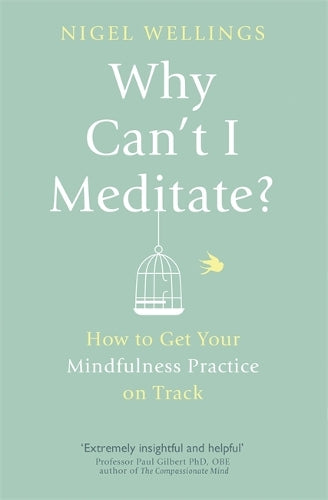 Why Cant I Meditate?: how to get your mindfulness practice on track