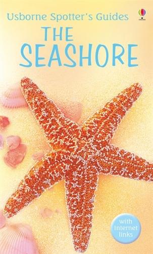 Seashore (Usborne Spotters Guide)