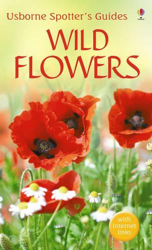 Wild Flowers (Usborne Spotters Guide)