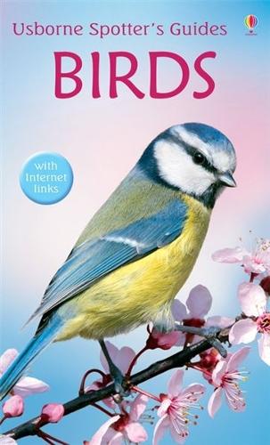Birds (Usborne Spotters Guide)