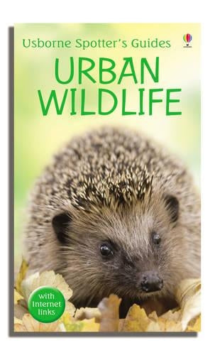 Urban Wildlife (Usborne Spotters Guide)