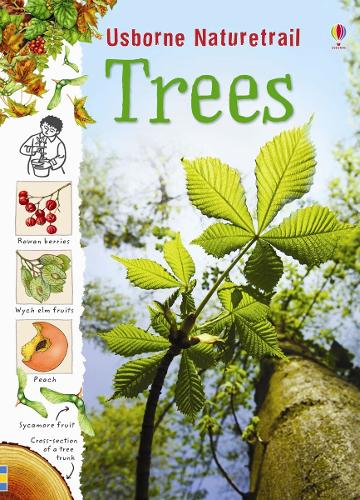Trees (Nature Trail) (Usborne Nature Trail)