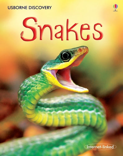 Snakes [Hardback] by Firth, Rachel ( Author )