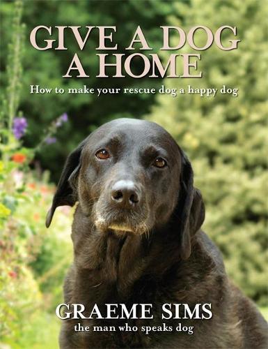 Give a Dog a Home: How to make your rescue dog a happy dog