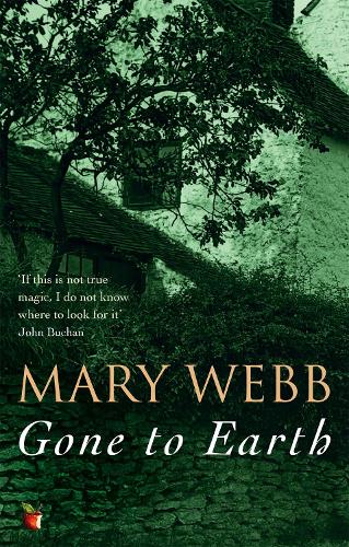 Gone To Earth (Virago Modern Classics)