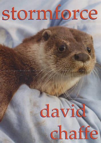 Stormforce, an Otters Tale