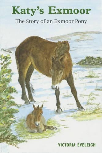 Katys Exmoor: The Story of an Exmoor Pony