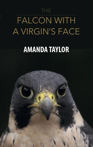 The Falcon with a Virgins Face