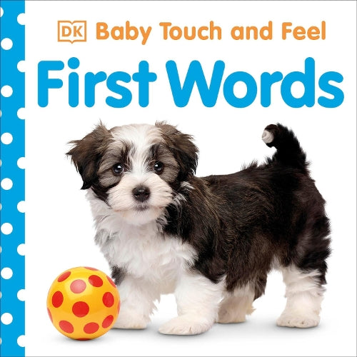 Baby Touch and Feel: First Words