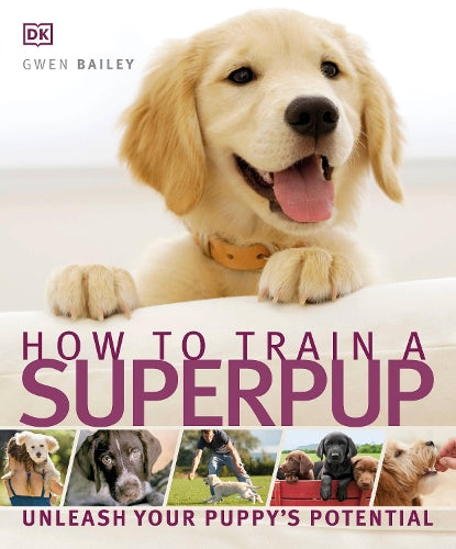 How to Train a Superpup: Unleash your puppys potential