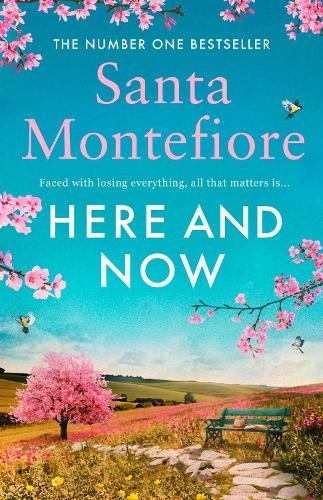 Here and Now: Evocative, emotional and full of life, the most moving book youll read this year