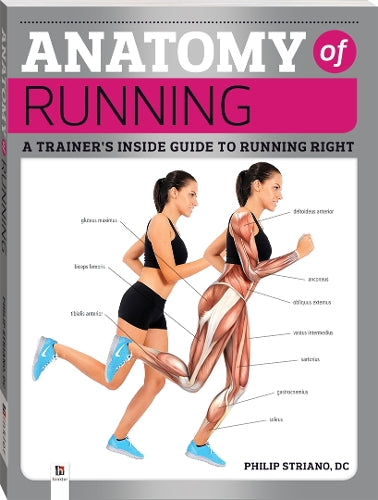 Anatomy Of Running (2019 Edition)