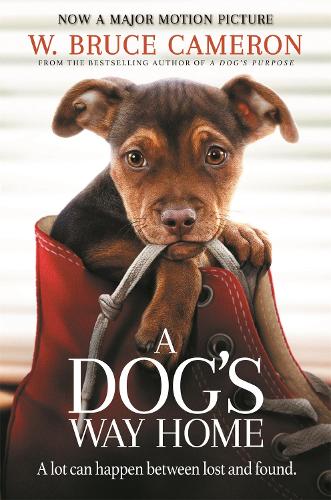 A Dogs Way Home: The Heartwarming Story of the Special Bond Between Man and Dog