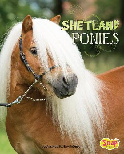 Shetland Ponies (Horse Breeds)