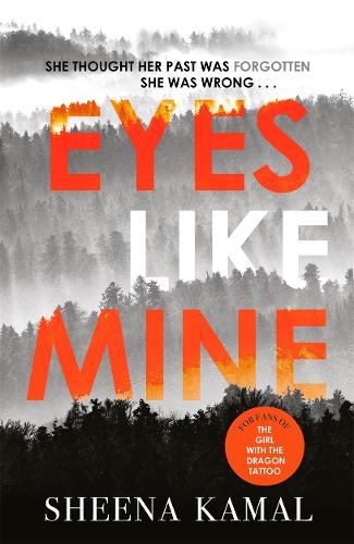 Eyes Like Mine: Utterly compelling . . . Will stay with you for a long, long time Jeffery Deaver