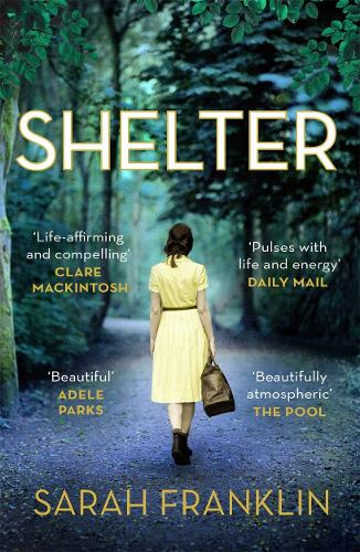 Shelter: ‘One of the years hottest debuts’