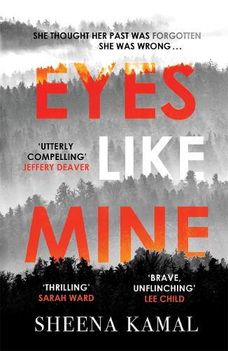 Eyes Like Mine: Utterly compelling Will stay with you for a long, long time Jeffery Deaver