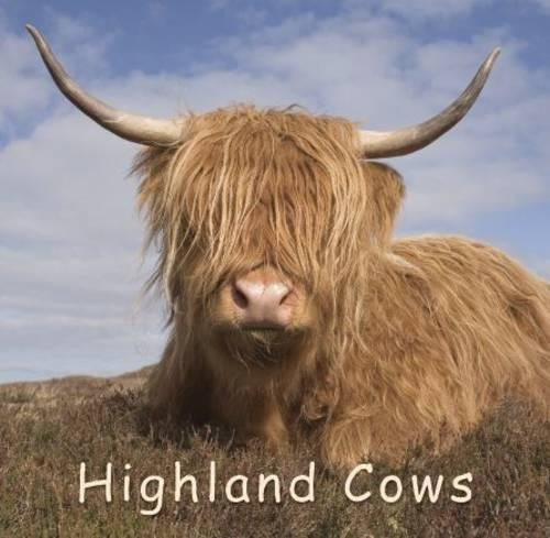 Highland Cow (Gift Book)