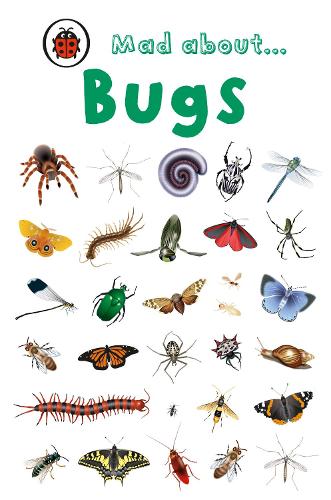 Mad About Bugs (Ladybird Minis)