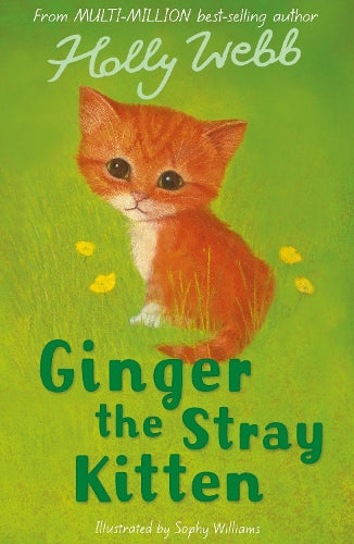 Ginger the Stray Kitten (Holly Webb Animal Stories)