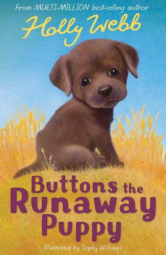 Buttons the Runaway Puppy by Webb, Holly ( Author ) ON Jun-01-2009, Paperback