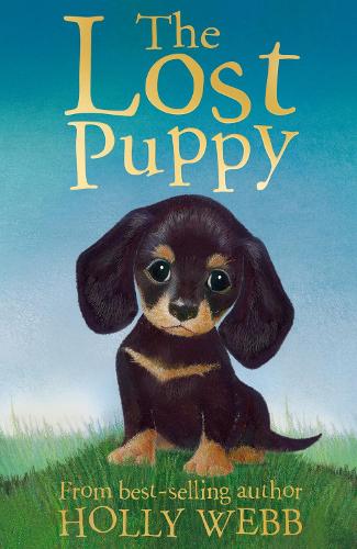 The Lost Puppy (Holly Webb Animal Stories)