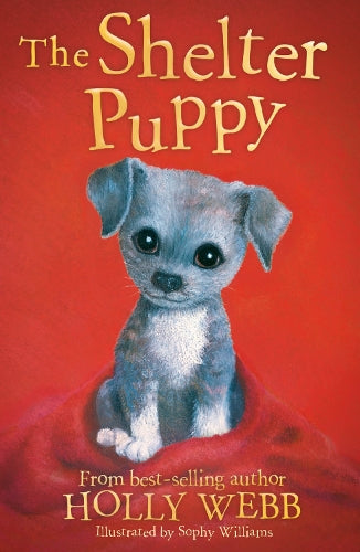 The Shelter Puppy: 40 (Holly Webb Animal Stories (40))