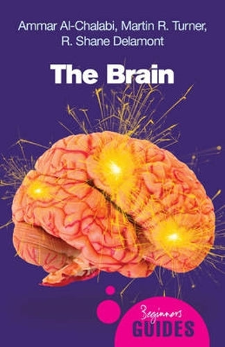 The Brain: A Beginners Guide (Beginners Guides)