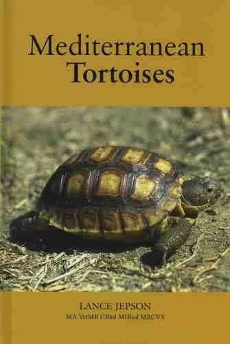 Mediterranean Tortoises