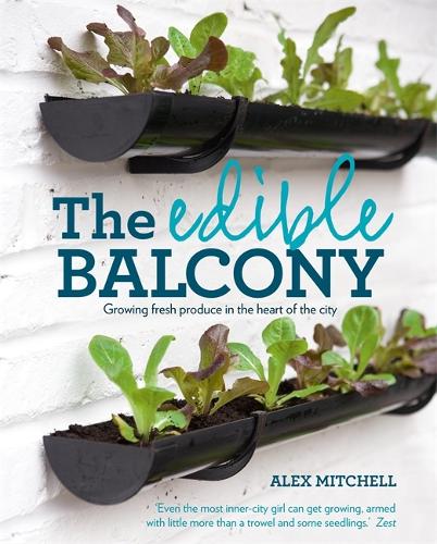 The Edible Balcony: Growing Fresh Produce in the Heart of the City