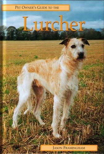 Pet Owners Guide to the Lurcher