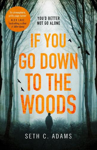 If You Go Down to the Woods: The most powerful and emotional debut thriller of 2018!