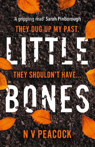 Little Bones: The most chilling serial killer thriller you’ll read this year