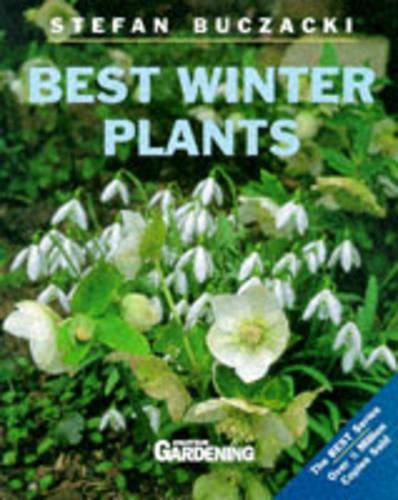 Best Winter Plants ("Amateur Gardening" Guide)