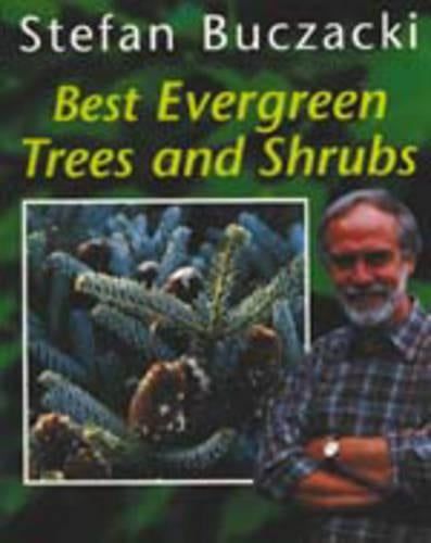 Best Evergreen Trees and Shrubs ("Amateur Gardening" Guide)