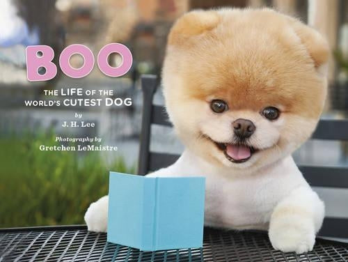 Boo