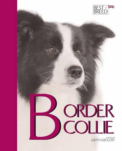 Border Collie - Best of Breed
