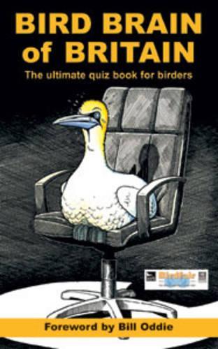 Bird Brain of Britain: Pit Your Wits Against the Experts!